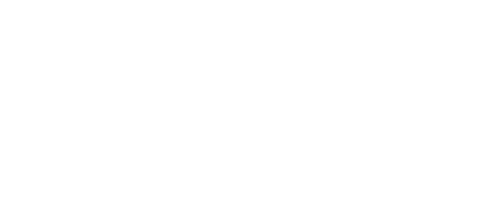 Link